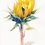 Watercolour Painting