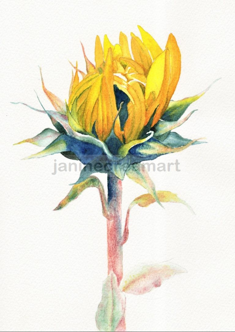 Watercolour Painting